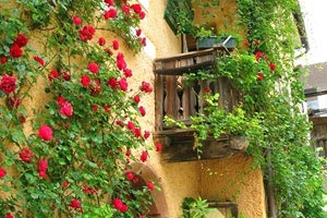 南京特色民俗風(fēng)情？