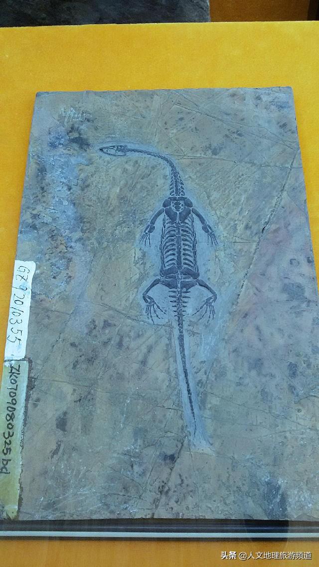 你來貴州會(huì)去哪里旅游？對(duì)去貴州旅游有什么看法？