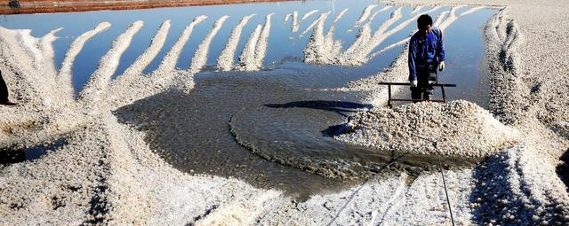 “鏢不喊滄州”是因?yàn)槭裁矗?></a></p>

<p>首先從元朝定都北京開(kāi)始，大運(yùn)河就成了重要的水路要道，滄州也發(fā)揮了重要的樞紐作用，尤其明朝萬(wàn)歷年間重修了任丘鄚州大廟，開(kāi)辟鄚州廟會(huì)，一下子就成了當(dāng)時(shí)的全國(guó)性貿(mào)易中心，有北京人全，鄚州貨全之說(shuō)。滄州也就成了官府巨富們走鏢的必經(jīng)之地。也帶動(dòng)了滄州鏢局，旅店，裝運(yùn)這些個(gè)行業(yè)的發(fā)達(dá)，外來(lái)人口劇增。滄州鏢局林立，鏢師眾多！??！</p>
<p>然后呢滄州都是大鹽堿地，種不出嘛玩意兒來(lái)。滄州有句民謠就說(shuō)“旱了收螞蚱，澇了收蛤蟆，不澇不旱收堿疙疤”。但是人們得活啊，上有老下有小的得過(guò)日子啊，總辦呢，咱哥幾個(gè)弄個(gè)鏢局吧，咱哥幾個(gè)販私鹽吧（滄州產(chǎn)鹽），咱哥幾個(gè)上碼頭攬點(diǎn)活吧，一幫一派的慢慢的就形成了。大幫派呢就做些個(gè)大買賣，小幫派閑著沒(méi)事就會(huì)做些個(gè)搶劫綁票的營(yíng)生了。</p>
<p>滄州是大陸最大的礦鹽產(chǎn)區(qū)富人在此地非常沒(méi)有安全感，比如“民國(guó)十五六年匪氛最熾之際，有時(shí)十里之間，一夜之內(nèi)，連出綁案票案數(shù)起，徹夜槍聲綿亙不斷，近兩年來(lái)雖經(jīng)保安團(tuán)之巡緝剿撫，而各村之槍禍綁票案，仍屢出不窮”。北洋軍閥將孟村回族自治縣境劃為“匪區(qū)”，經(jīng)常以“剿匪”為名進(jìn)行燒殺搶掠。部分回民被迫改名換姓，回族百姓取下民族標(biāo)志“嘟瓦兒”，門上貼春聯(lián)，以示漢族。因此歷史上滄州回族習(xí)武之風(fēng)非常興盛。</p>
<p>這種生活氛圍對(duì)滄州區(qū)域的民眾性格也產(chǎn)生了重要的影響，老時(shí)年間有句民謠是“楊三木，呂家橋，雁過(guò)也拔毛，爺們兒不在，娘們兒也不饒，有心轉(zhuǎn)道走還有高家口，有心河里趟還有周青莊”。那年代這句話在河北天津山東山西做買賣的來(lái)說(shuō)可以是家喻戶曉。楊三木、呂家橋都是滄州大運(yùn)河?xùn)|部有名的武術(shù)傳承村落，以地方性格強(qiáng)悍聞名于大運(yùn)河?xùn)|部一帶。據(jù)說(shuō)那時(shí)候販鹽的、販魚的、倒蘆葦?shù)亩际墙Y(jié)幫成隊(duì)，就是要有個(gè)照應(yīng)，睡覺(jué)得有更夫，要不咋死的都不知道。這些民諺也充分說(shuō)明了滄州確實(shí)是武術(shù)之鄉(xiāng)，不僅名家輩出，即使普通的男女老少也也身手不凡。從前的鏢車，也都把滄州道視作畏途。每有鏢車經(jīng)過(guò)滄州，鏢師不敢逞威，且要拔掉鏢旗，不喊鏢號(hào)，備些禮物，專門拜謁當(dāng)?shù)氐娜瓗?，不然的話即很難順利通過(guò)滄州。</p>
<p>不過(guò)現(xiàn)在的滄州人好客，文明，古道熱腸。這個(gè)古時(shí)的俠義之鄉(xiāng)，今朝成為了“好人之城”?！昂萌酥恰币殉蔀槌鞘羞M(jìn)步與文明的精神引領(lǐng),是滄州的精神財(cái)富和靚麗名片!傳統(tǒng)文化中蘊(yùn)含的道德傳承和教育，讓人懂得什么是真善美，讓滄州歷代人民骨子里都流淌著“熱情”的血液?？梢哉f(shuō)，正是這股“熱情”的血液，孕育了滄州的俠義文化、英雄文化、誠(chéng)信文化乃至好人文化。</p>
<p>滄州不但熱心腸、好人多，美女帥哥也多，比如答主我，哈哈。大美滄州歡迎全國(guó)各地的美女來(lái)滄州玩耍、工作、結(jié)婚、生小孩兒。</p>
<p>有不同意見(jiàn)的可以評(píng)論說(shuō)。滄州老鄉(xiāng)可以點(diǎn)擊我的名字關(guān)注一下，每天都會(huì)寫一些滄州老百姓身邊的事兒，謝謝。</p>  </div>
  <div   id=